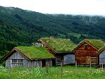 dsc03484.jpg