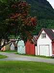 dsc03541.jpg