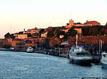 dsc05255.jpg