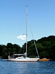 dsc05519.jpg