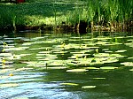 dsc05529.jpg