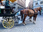 dsc05554.jpg