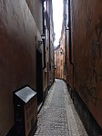 dsc05557.jpg