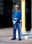 dsc05590.jpg