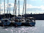 dsc05604.jpg