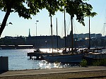 dsc05718.jpg