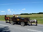 dsc05812.jpg