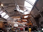 dsc05815.jpg