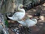 dsc05943.jpg