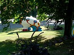 dsc05952.jpg