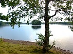 dsc06267.jpg