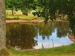 dsc06271.jpg