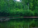 dsc06275.jpg
