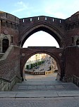 dsc06319.jpg