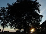 dsc06414.jpg