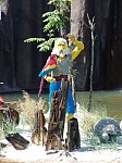 dsc02058.jpg