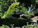 dsc02101.jpg