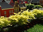 dsc02195.jpg