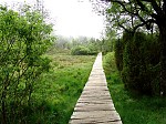 dsc02750.jpg