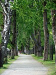dsc02905.jpg