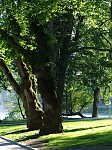 dsc02508.jpg