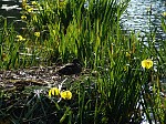 dsc02513.jpg