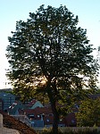dsc04091.jpg