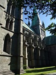 dsc04144.jpg
