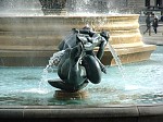 dsc03178.jpg