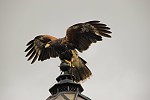dsc_4657.jpg