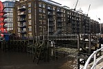 dsc_3613.jpg