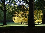 dsc02701.jpg