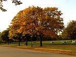 dsc03144.jpg
