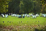dsc_3994.jpg
