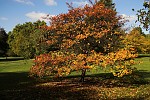 dsc_4045.jpg