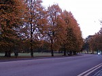dsc02902.jpg