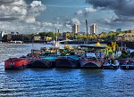 dsc02336.jpg