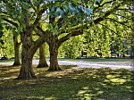 dsc02700.jpg