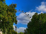 dsc02771.jpg