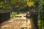 dsc_4610.jpg