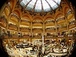 dsc03923.jpg