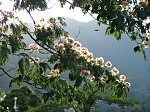 dsc04044.jpg