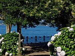 dsc04492.jpg