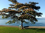 dsc04500.jpg