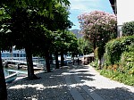 dsc04292.jpg