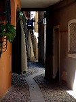 dsc04303.jpg