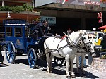 dsc04513.jpg