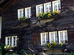 dsc04717.jpg