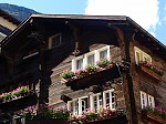 dsc04720.jpg