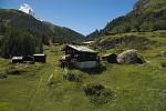 dsc_7228.jpg